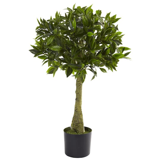 Michaels, 3ft. Potted Bay Leaf Topiary – Category: Trees & Floor Plants